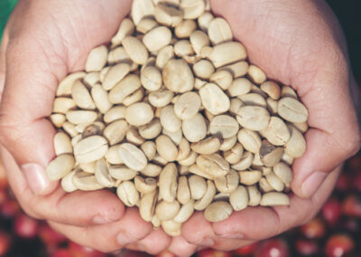 Levantamento da Conab estima produção de 2021 abaixo da temporada anterior