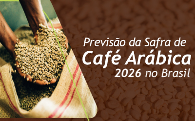 Previsão da Safra de Café Arábica 2026 no Brasil